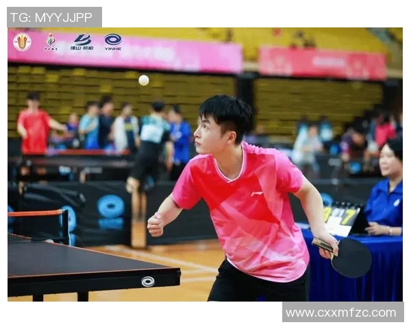 全国锦标赛特别报道：广州乒乓球队拼搏历程与辉煌成就的背后故事