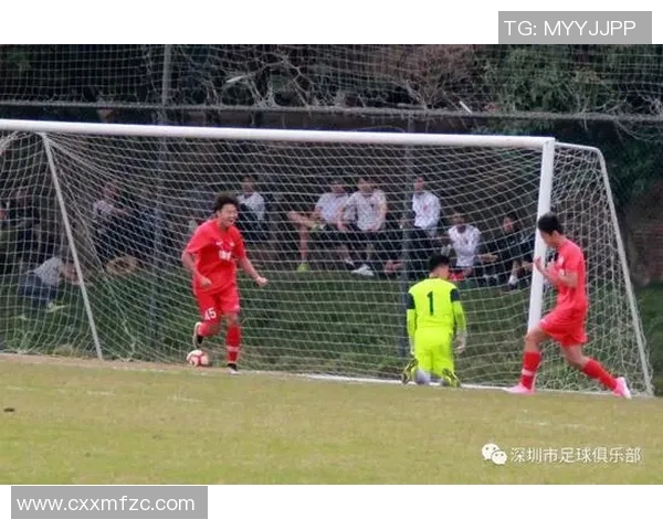 广州排球队配合变革引发热议助力球队新征程